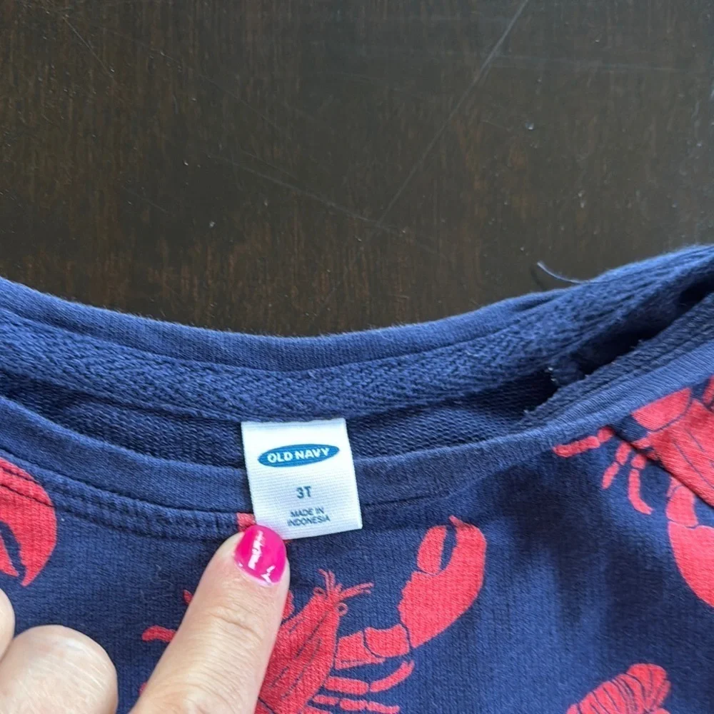 Old Navy Blue and Red Long Sleeve Tee